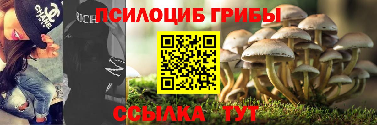 Галлюциногенные грибы прущие грибы  Вход с VPN  Грязи 